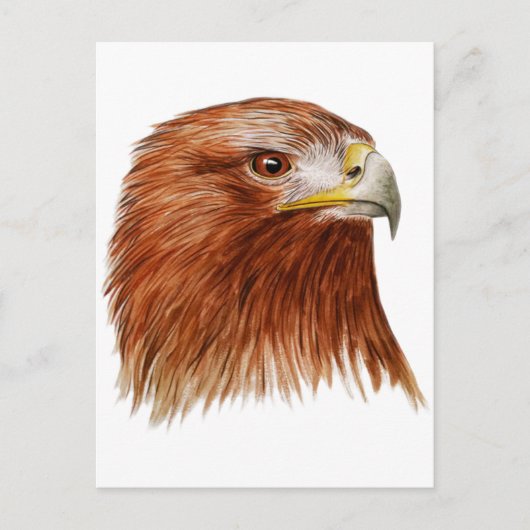 Carte Postale Aigle d'or 2011 (Devant)