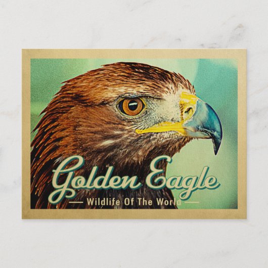 Carte postale Aigle d'or - Faune du monde Oiseau (Devant)