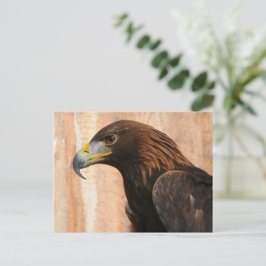 Carte Postale Aigle d'or (oiseau) (Debout devant)