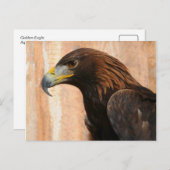 Carte Postale Aigle d'or (oiseau) (Devant / Derrière)