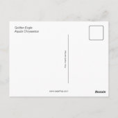 Carte Postale Aigle d'or (oiseau) (Dos)