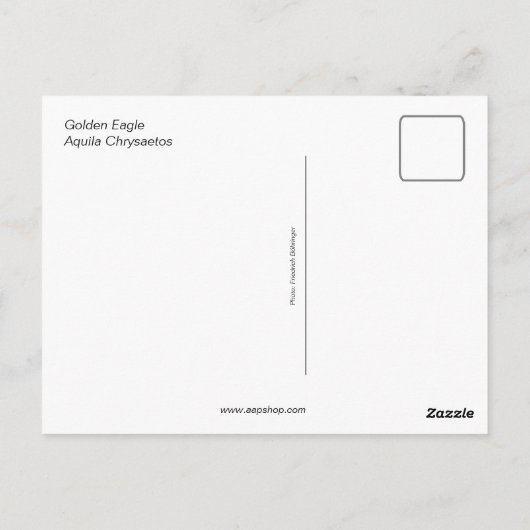 Carte Postale Aigle d'or (oiseau) (Dos)