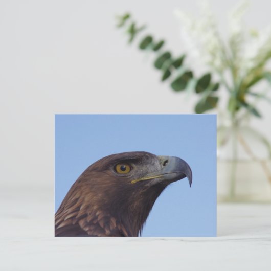 Carte Postale Aigle doré (Debout devant)