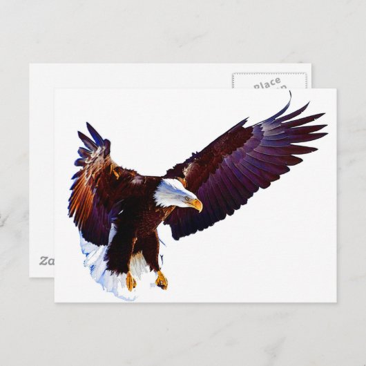 Carte Postale Aigle en vol (Devant / Derrière)