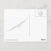 Carte Postale Aigle et drapeau américain USA (Dos)