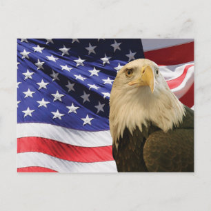Carte Postale Aigle et drapeau américains