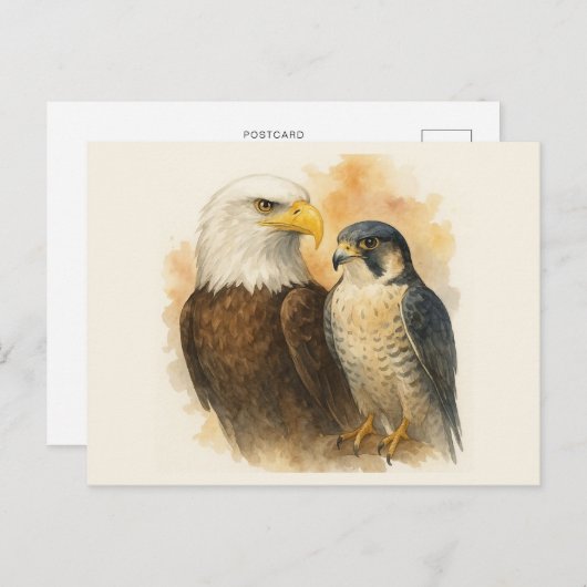 Carte Postale Aigle et faucon pèlerin Art de la faune (Devant / Derrière)