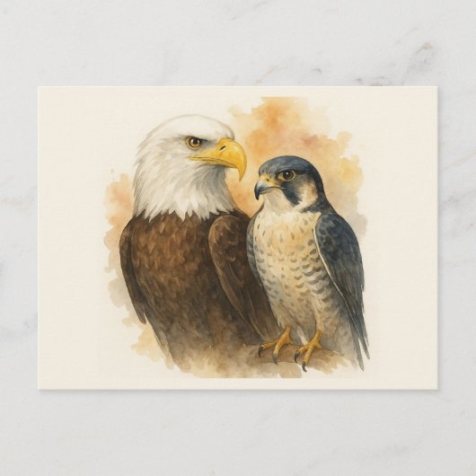 Carte Postale Aigle et faucon pèlerin Art de la faune (Devant)