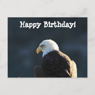 Carte Postale Aigle Lone Bald ; Joyeux anniversaire