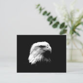 Carte Postale Aigle noir et blanc (Debout devant)