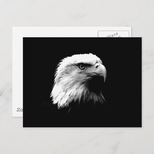 Carte Postale Aigle noir et blanc (Devant / Derrière)