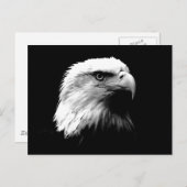 Carte Postale Aigle noir et blanc (Devant / Derrière)