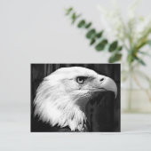 Carte Postale Aigle noir et blanc (Debout devant)