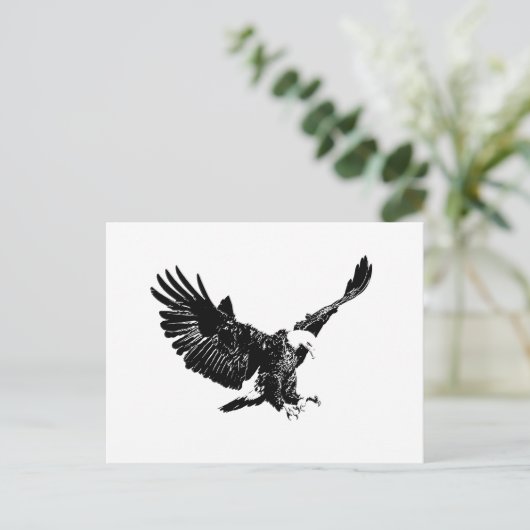 Carte Postale Aigle noir et blanc (Debout devant)