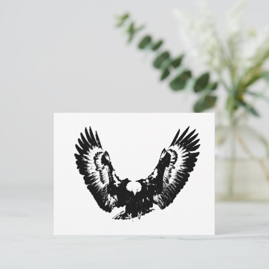 Carte Postale Aigle noir et blanc (Debout devant)