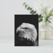 Carte Postale Aigle noir et blanc (Debout devant)