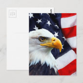 Carte Postale Aigle nord-américain sur drapeau américain (Devant / Derrière)