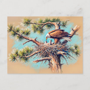 Carte Postale Aigle nourrissant Jeune dans le nid sur Pine Tree 