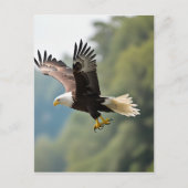 Carte Postale Aigle qui s'envole dans le ciel (Devant)