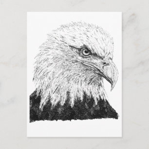 Carte Postale Aigle royal USA Drapeau noir et blanc à pois