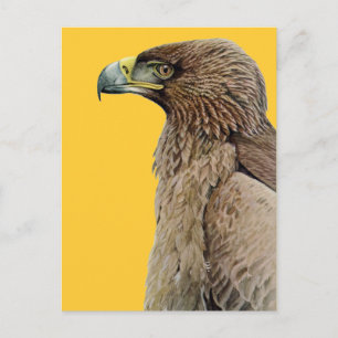 Carte Postale Aigle Tawny