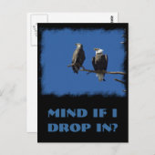 Carte Postale Aigles chauds (Devant / Derrière)