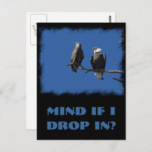 Carte Postale Aigles chauds (Devant / Derrière)