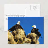 Carte Postale Aigles chauds (Devant / Derrière)