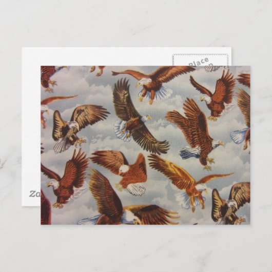 Carte Postale Aigles chauds en vol (Devant / Derrière)