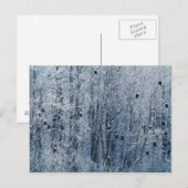 Carte Postale Aigles chauves (Haliaeetus leucocephalus) à (Devant / Derrière)