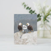 Carte Postale Aigles drôles et mouette (Debout devant)