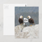 Carte Postale Aigles drôles et mouette (Devant / Derrière)