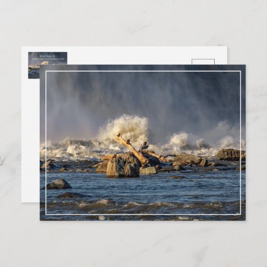 Carte Postale Aigles Et Eau Brute (Devant / Derrière)