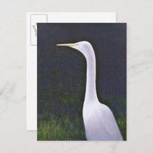 Carte Postale Aigrette blanche (Devant / Derrière)