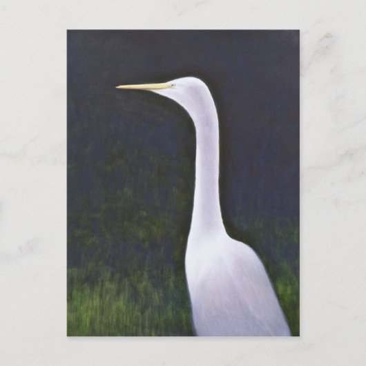 Carte Postale Aigrette blanche (Devant)
