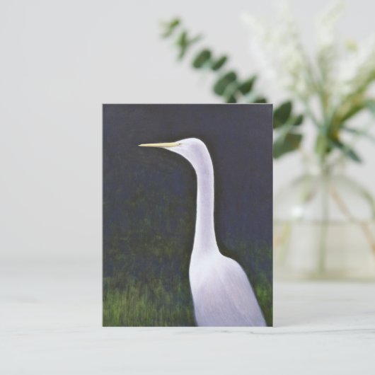 Carte Postale Aigrette blanche (Debout devant)