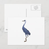 Carte Postale aigrette bleue (Devant / Derrière)