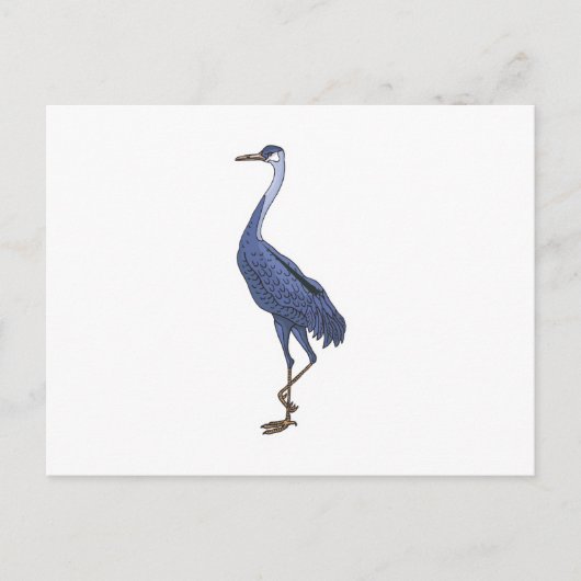 Carte Postale aigrette bleue (Devant)