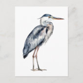Carte Postale Aigrette bleue côtière (Devant)