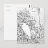 Carte postale - Aigrette dans l'herbe à colorier (Devant / Derrière)