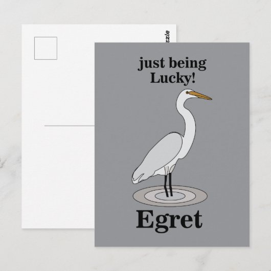 Carte Postale Aigrette Oiseau Chanceux (Devant / Derrière)