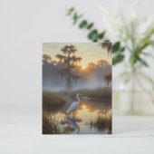 Carte Postale Aigrettes dans le Parc National des Everglades Mat (Debout devant)