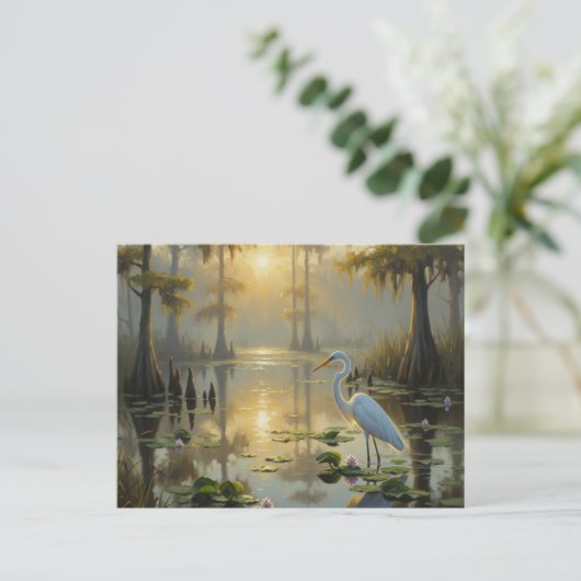 Carte Postale Aigrettes dans le Parc National des Everglades Mat (Debout devant)