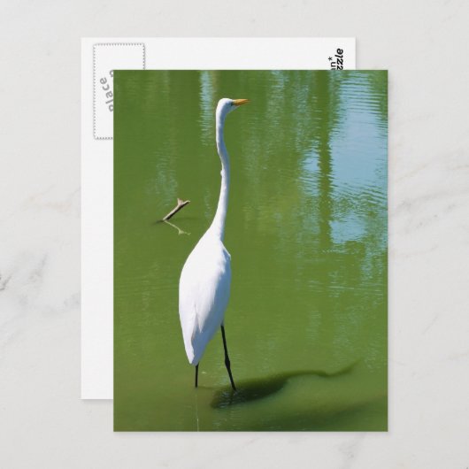 Carte Postale Aiguille (Devant / Derrière)