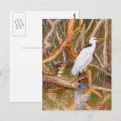 Carte Postale Aiguille de la mangrove no 2 (Devant / Derrière)