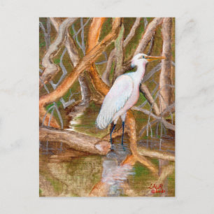 Carte Postale Aiguille de la mangrove no 2