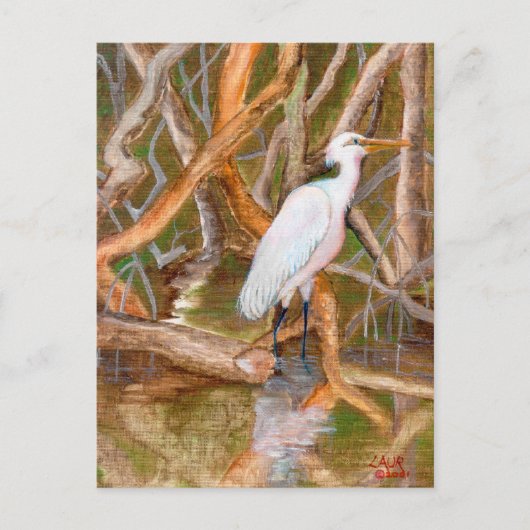 Carte Postale Aiguille de la mangrove no 2 (Devant)