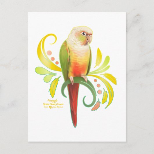 Carte Postale Aiguille verte Joue Conure (Devant)
