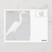 Carte Postale Aiguilles (Dos)