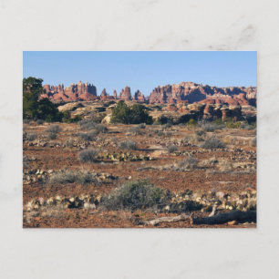 Carte Postale Aiguilles du sentier Pothole Point aux Canyonlands